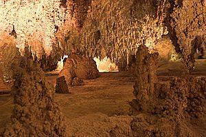 Big Room Carlsbad Caverns