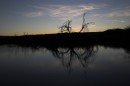 bigbendriogrande004 * Sonnenuntergang beim Rio Grande Village, Big Bend National Park * 3070 x 2046 * (283KB)
